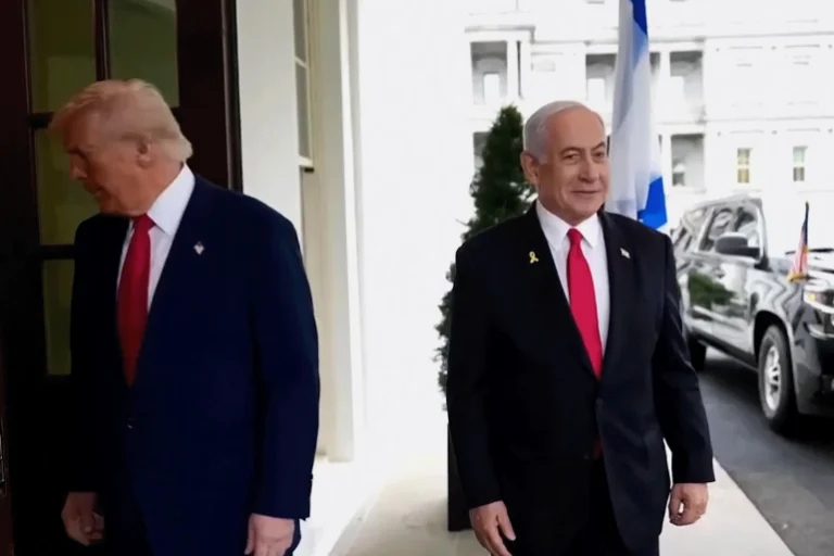 trump-net4n